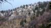 skalnaté stráne v doline nad Uhroveckým hradom