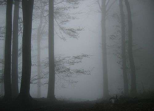 Temnota I