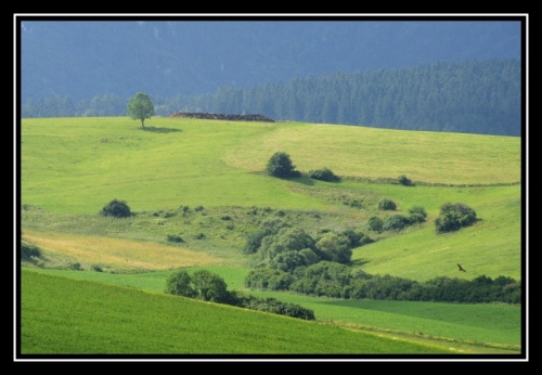 Jasenské lúky