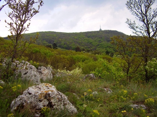 Pohľad na vrch Zobor