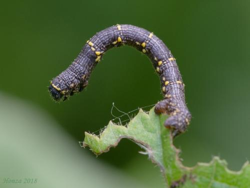 ?
