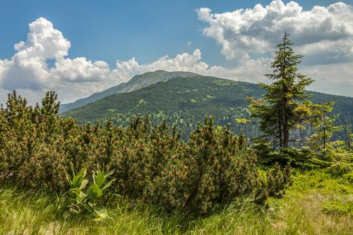Babia hora