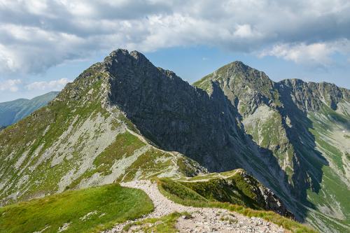 Roháče
