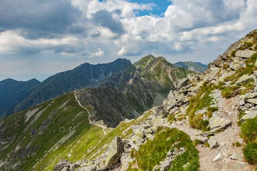 Roháče