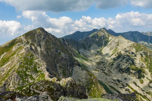 Roháče