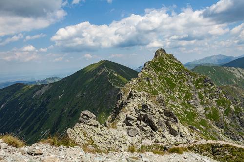 Roháče