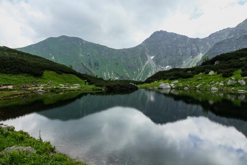 Roháče