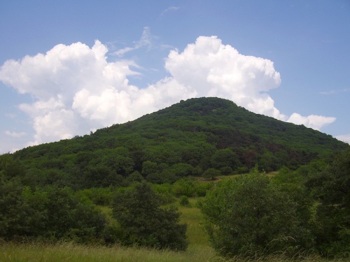 Žibrica