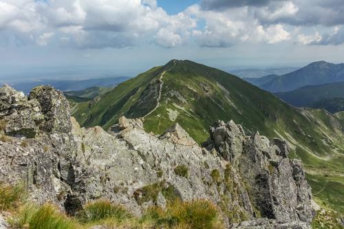 Roháče