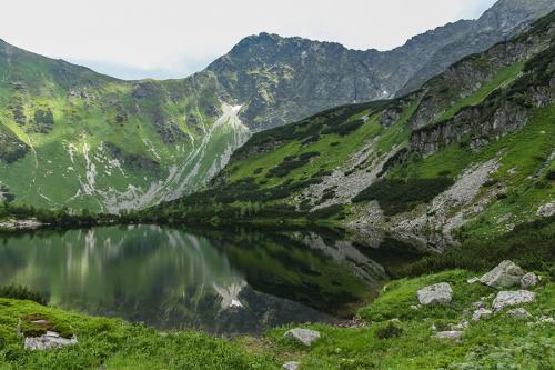 Roháče