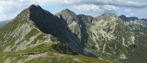 Roháče
