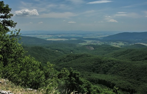 Trnavská pahorkatina