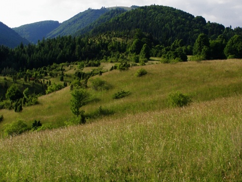krajinka pod Pánskym Dielom