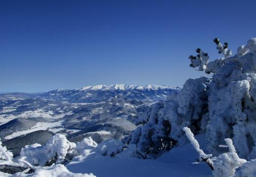 Veľký Choč 1611m