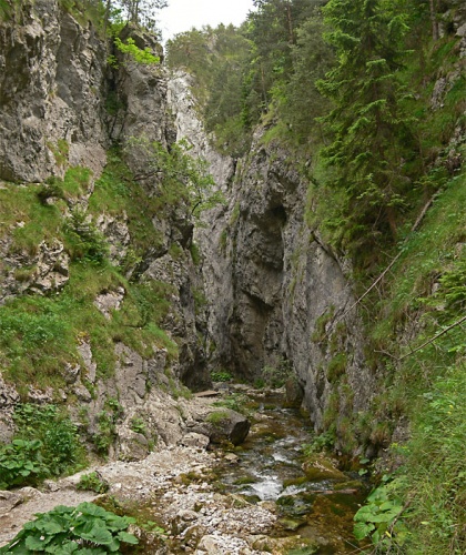 Chočské vrchy