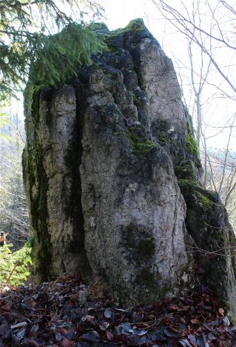 Samanovský vrch