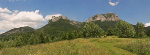 Rozsutec