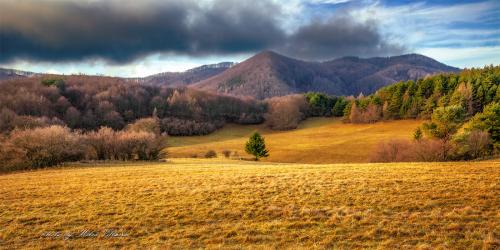 lúky nad Mojtínom