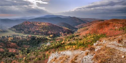 Sokolovica