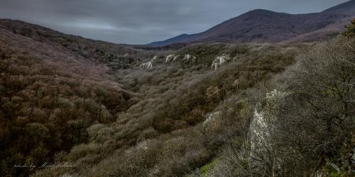 Hlboča