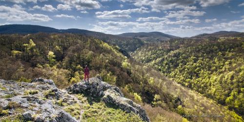 Kršlenica