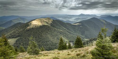 Osnica