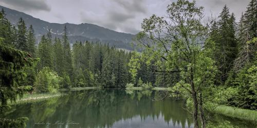 Vrbické pleso