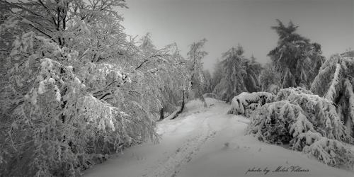 Skalnatá