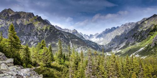 pohľad do Zlomiskovej doliny
