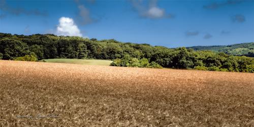 pod Malými Karpatmi