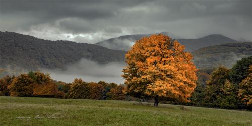 jeseň nad Mojtínom