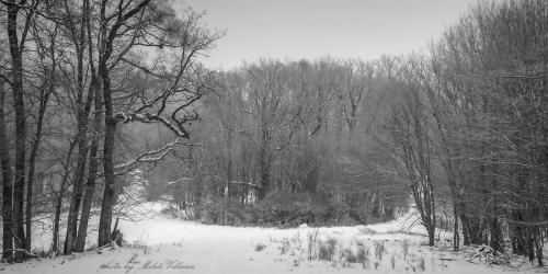 cestou z Gonových lazov