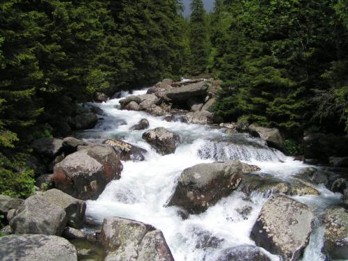 .:Bystrina:.