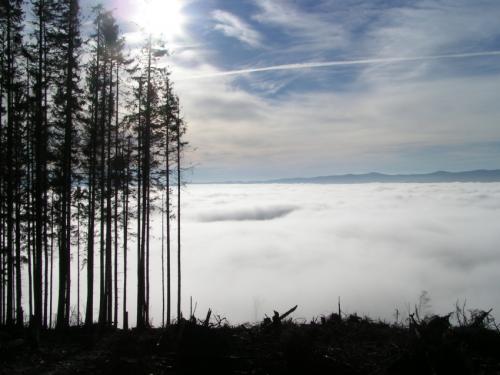 .:Pozostalí:.