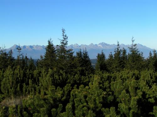 .:Tatry na dlani:.