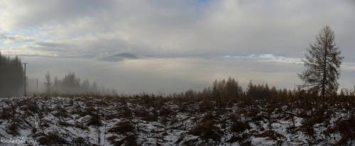 Levočské vrchy