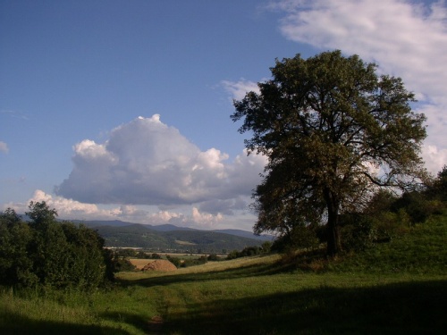Pohľady II