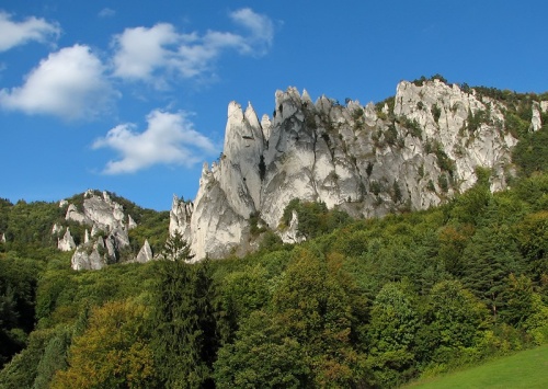 Roháč