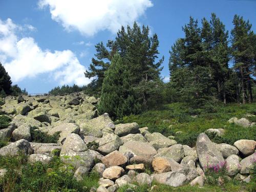 Hora Vitoša, BG