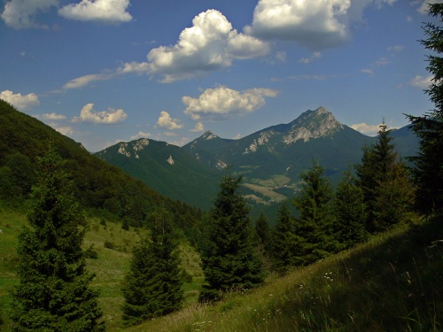 Rozsutce